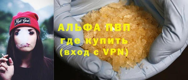 ECSTASY Бородино