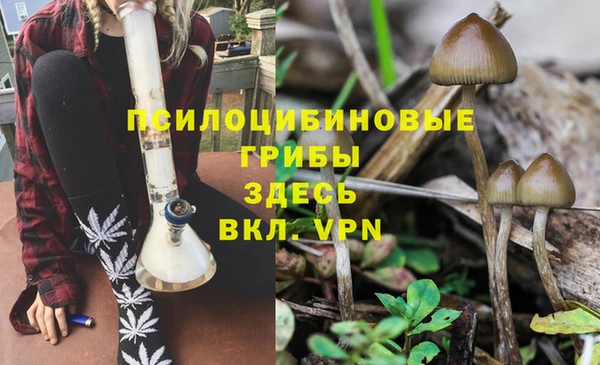 ECSTASY Бородино