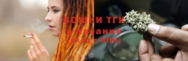 ECSTASY Бородино