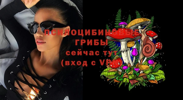 ECSTASY Бородино