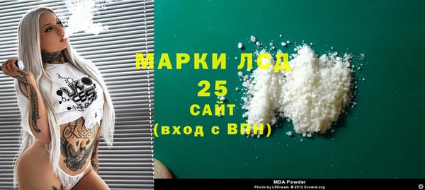 ECSTASY Бородино