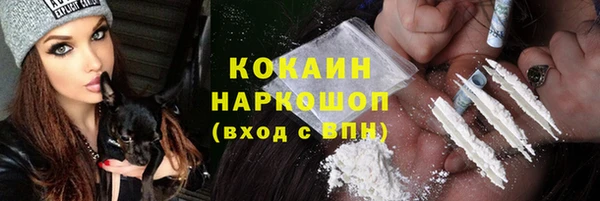 ECSTASY Бородино