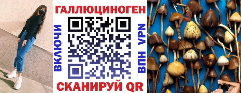 Псилоцибиновые грибы Magic Shrooms  цена наркотик  Будённовск 